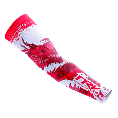 Gaming Sleeve – Dragon edition